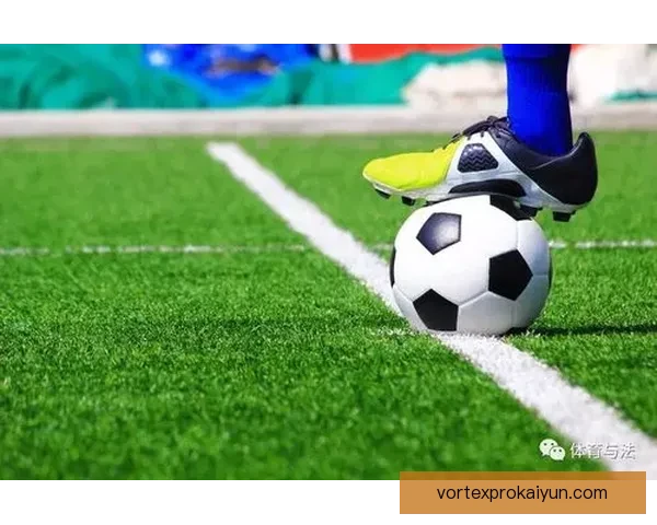 拉菲尼亚青训故事解读