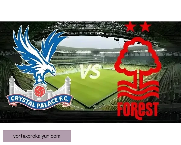 英超老鹰军团 英超老鹰军团